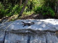 20140101-DSC00039